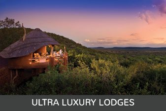 ultra luxury lodges Madikwe Game Reserve
