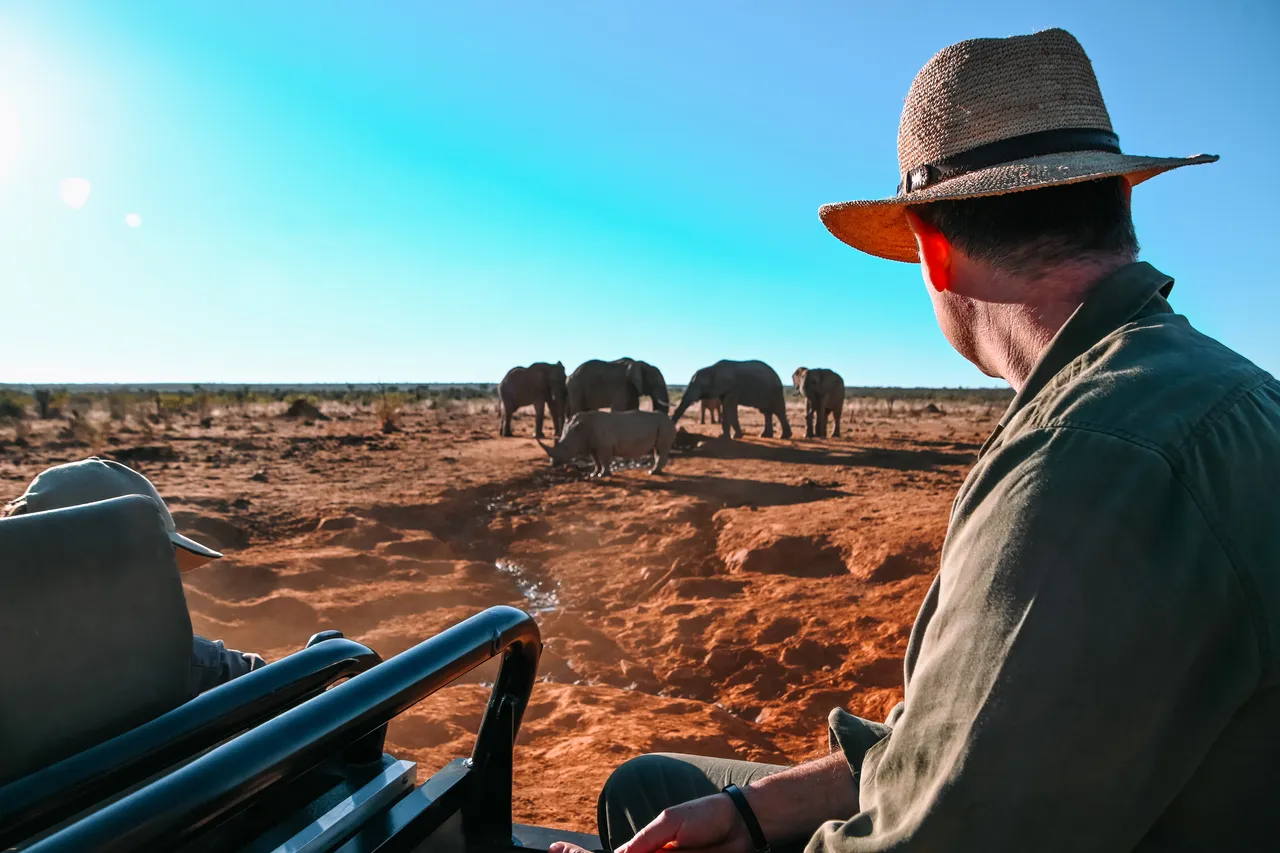 Game_Drive16_44085a960aeecfce3e46bcb76e3e6d3e
