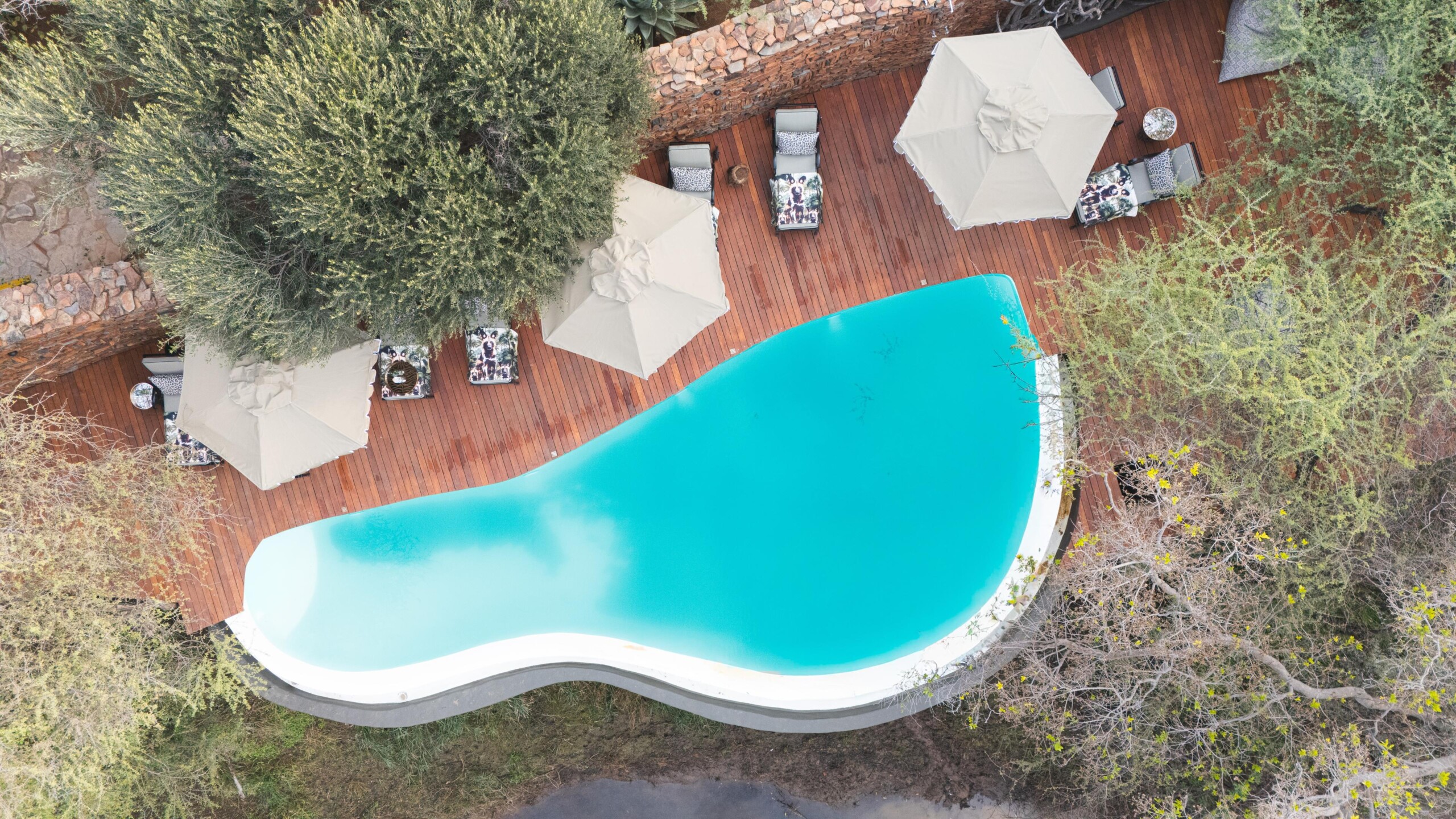 Pool Area_1