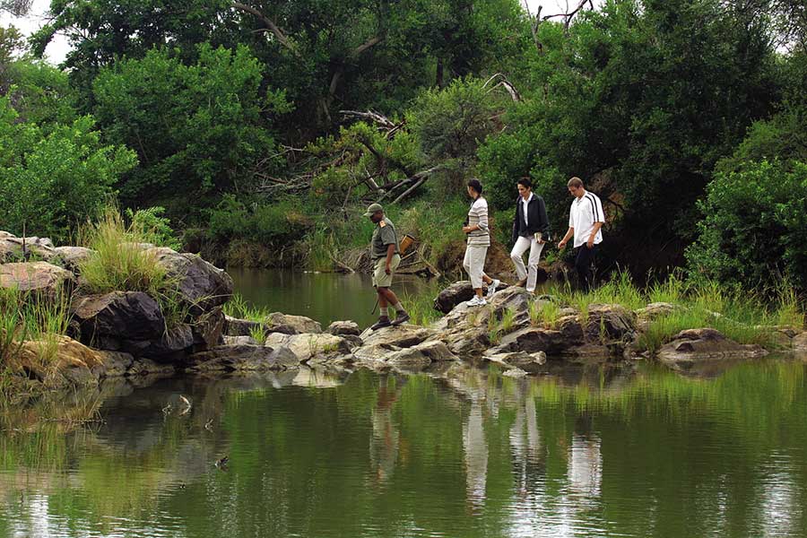 bush-walk
