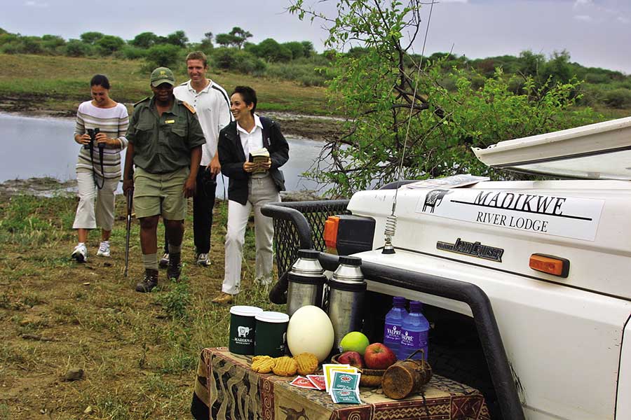 game-drives