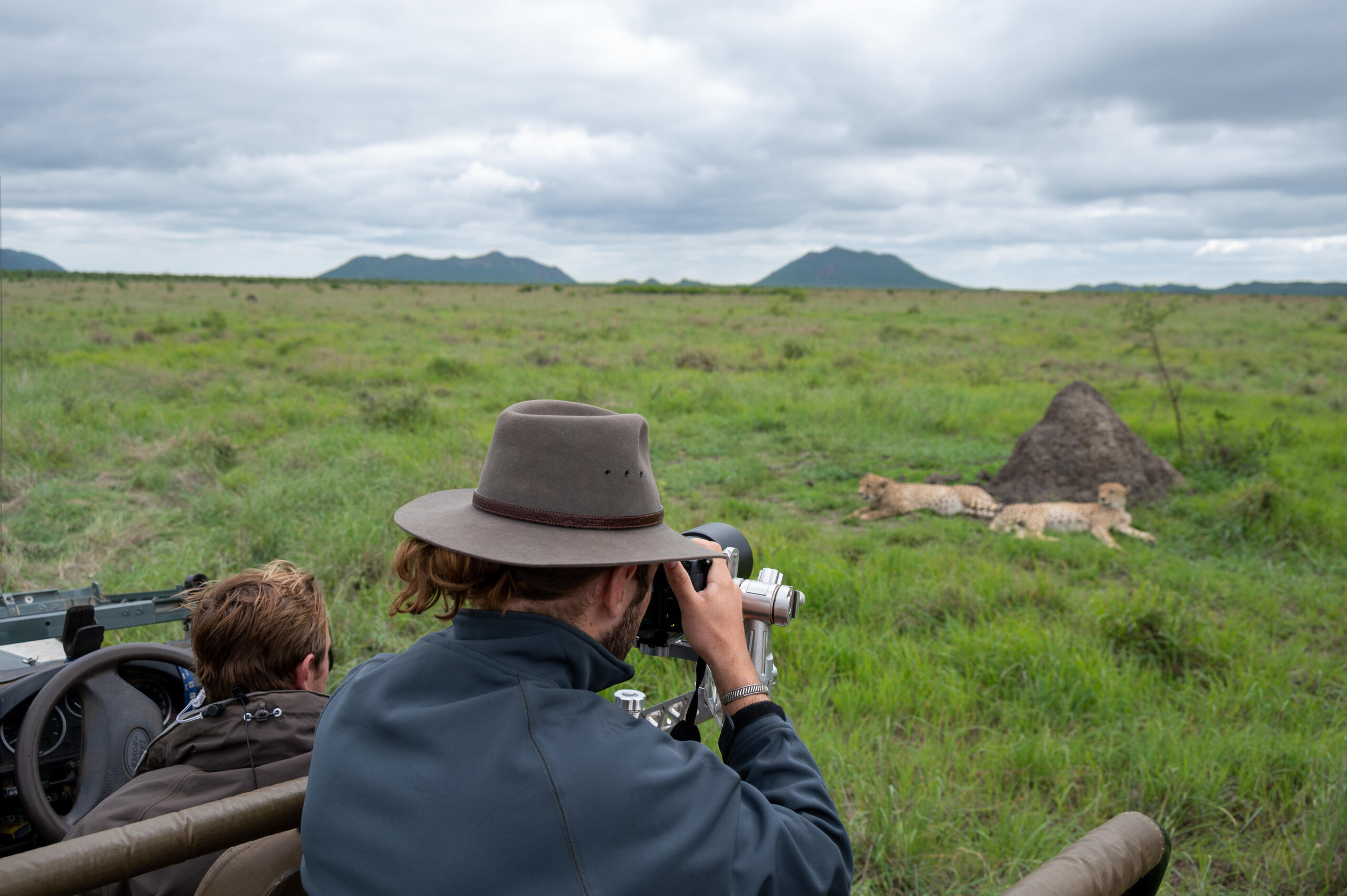 Game Drive 2