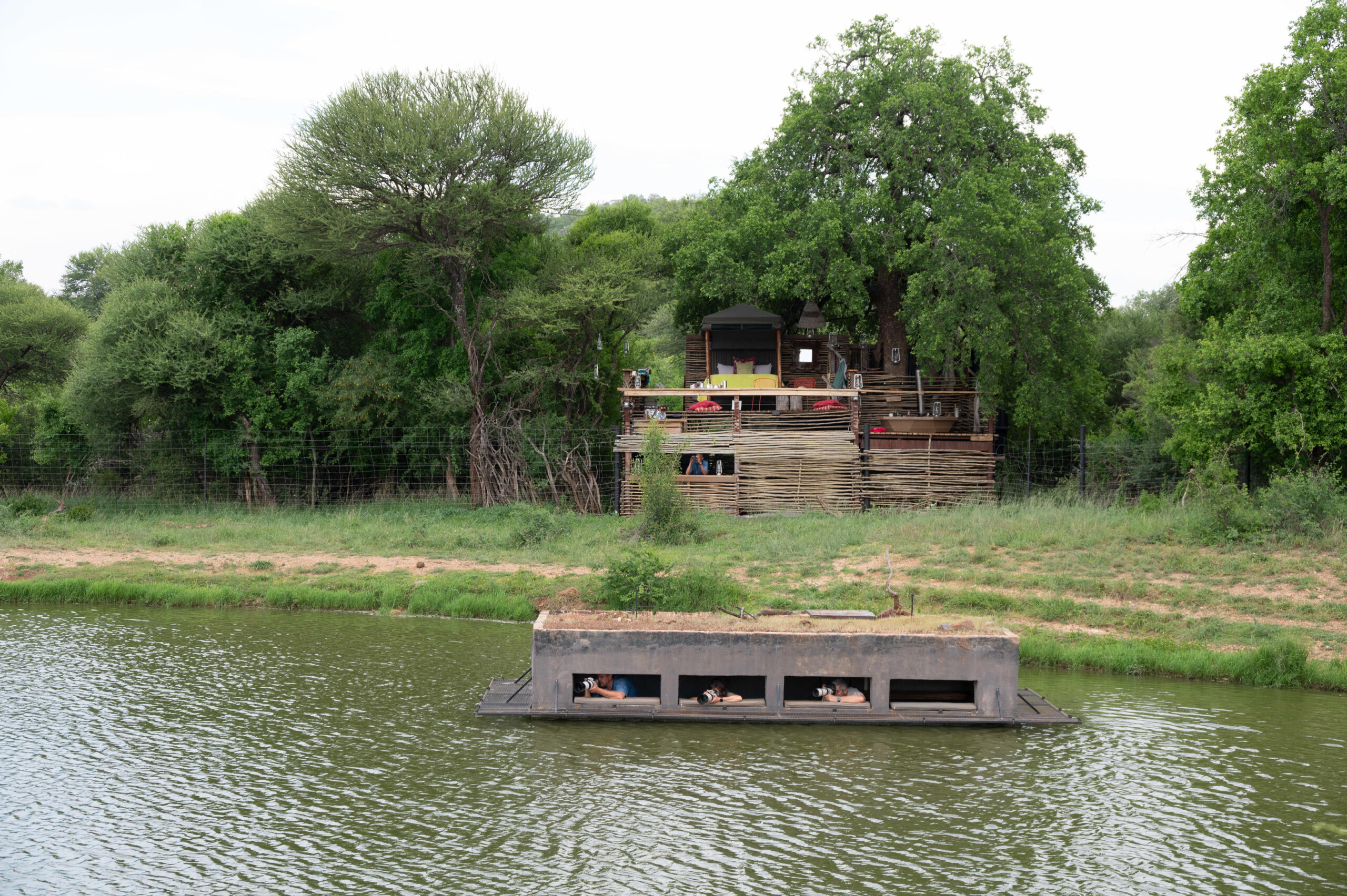 Terrapin Hide